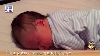 教宝宝尿尿的视频,趣味视频教程，轻松掌握如厕技巧