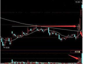 股票缺口视频,掌握市场动态的关键技巧