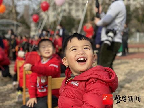 毛毛虫运动视频,揭秘自然界的奇妙运动之谜