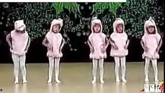 儿童兔子舞教学视频